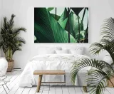 poster-petiole-40x50-stan-nowy