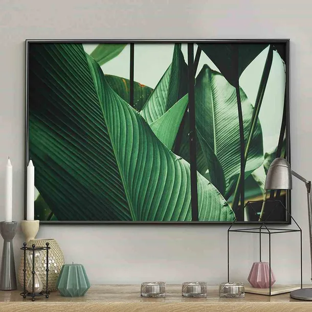 poster-petiole-50x70