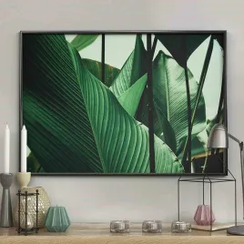 poster-petiole-50x70