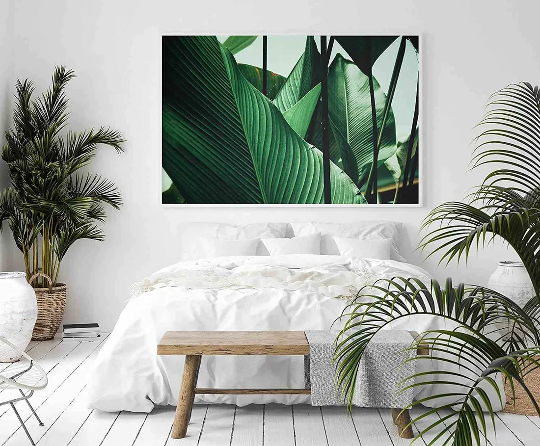 poster-petiole-50x70