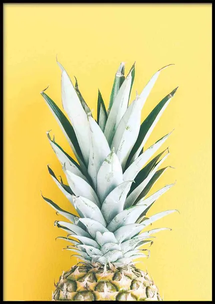 poster-pineapple-portrait-50x70-stan-nowy