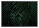 poster-pinnation-40x50-stan-nowy