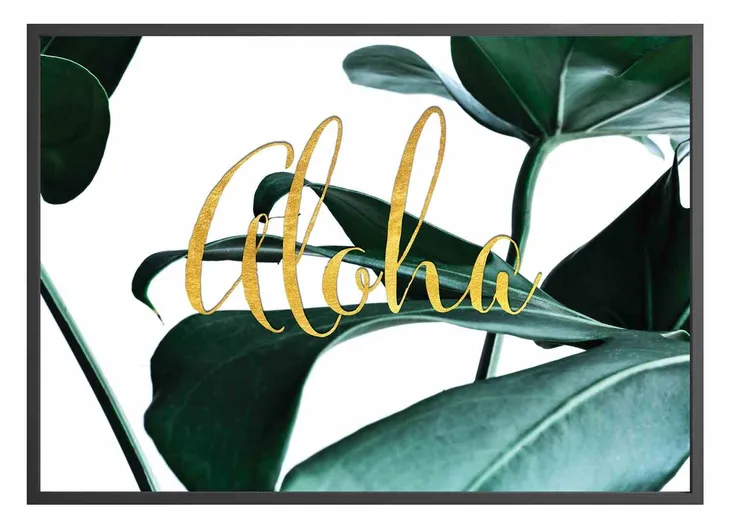 poster-rainforest-aloha-50x70-stan-nowy