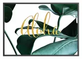 poster-rainforest-aloha-50x70-stan-nowy