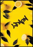 poster-semblance-50x70-stan-nowy