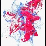 poster-splash-40x50-stan-nowy