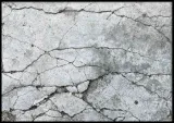 poster-stone-cold-70x100-stan-nowy