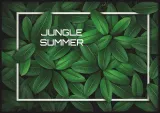 poster-summerinjungle-70x100-stan-nowy