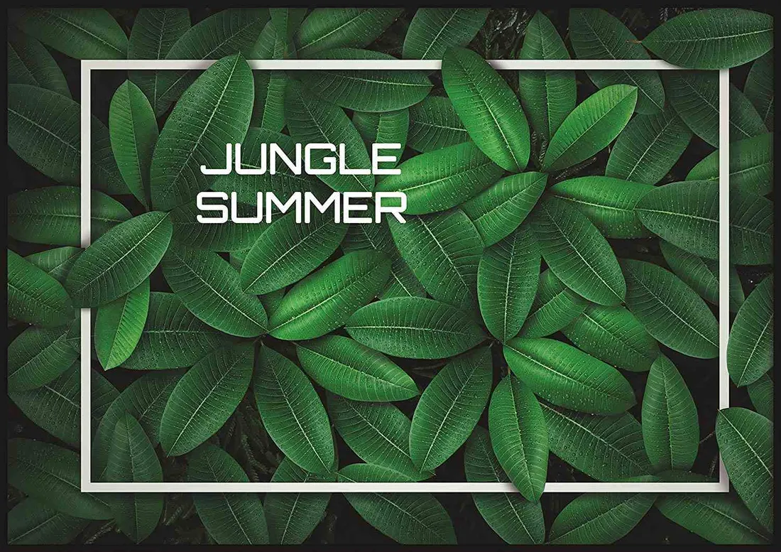 poster-summerinjungle-70x100