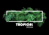 poster-tropical-frame-40x50