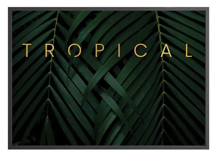 poster-tropicaldream-40x50-stan-nowy