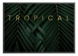 poster-tropicaldream-40x50-stan-nowy