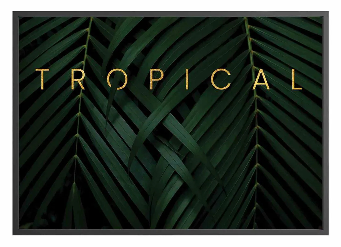 poster-tropicaldream-70x100