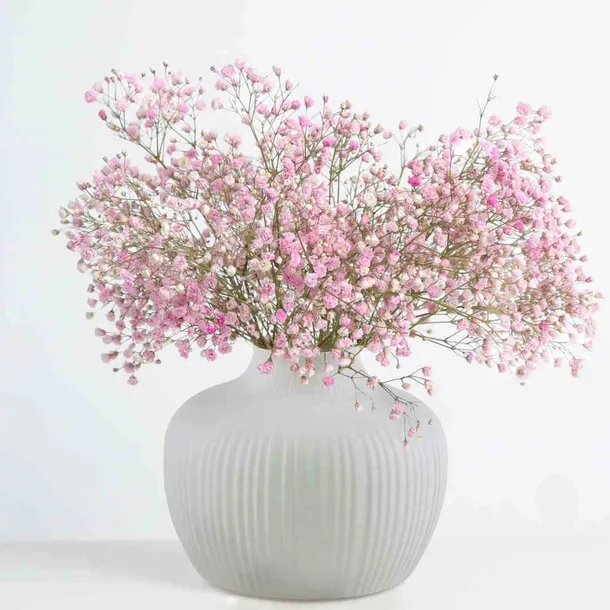 vase-ah-bali-cacao-155x12-stan-nowy