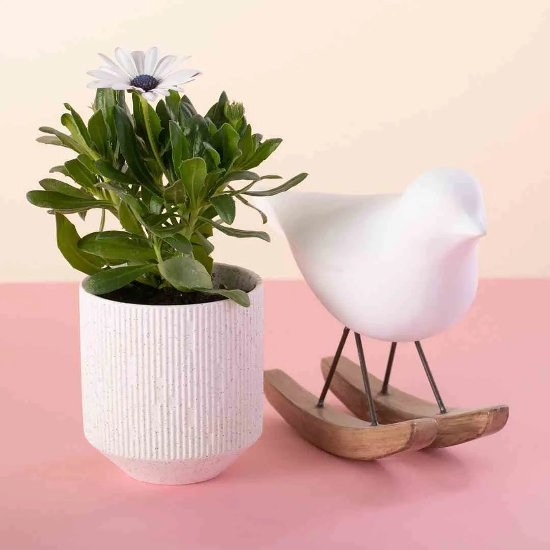 flowerpot-ah-paso-stone-9x98