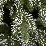 cs-ah-pine-richard-180-stan-nowy