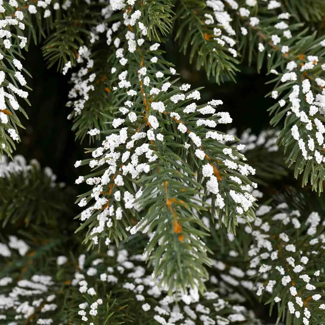 cs-ah-pine-richard-180