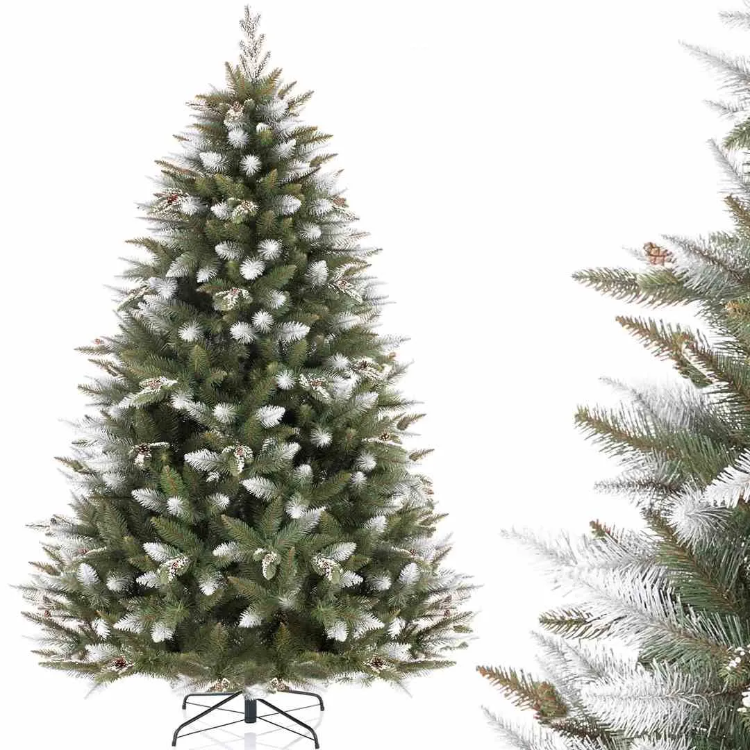 cs-ah-pine-john-120