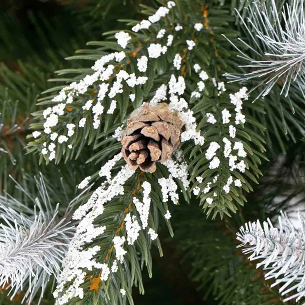 cs-ah-pine-john-120-stan-nowy