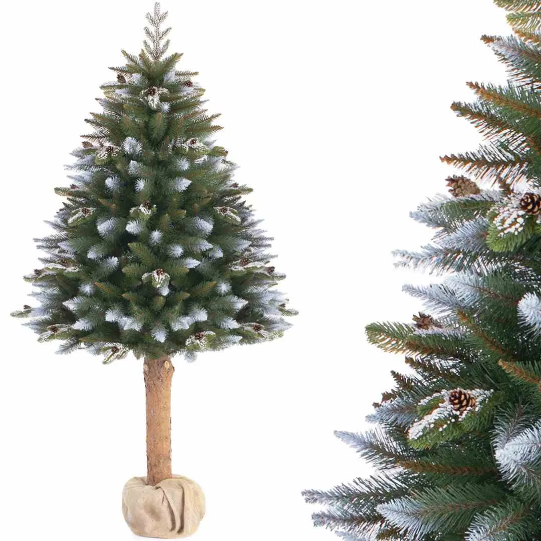 cs-ah-pine-jasmine-220