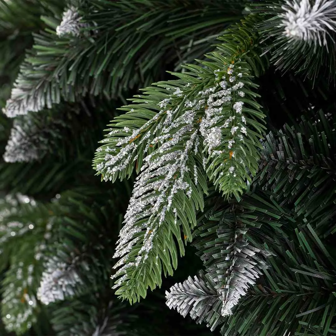 cs-ah-pine-diana-150