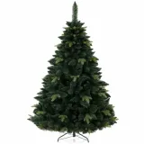 cs-ah-pine-debbie-280