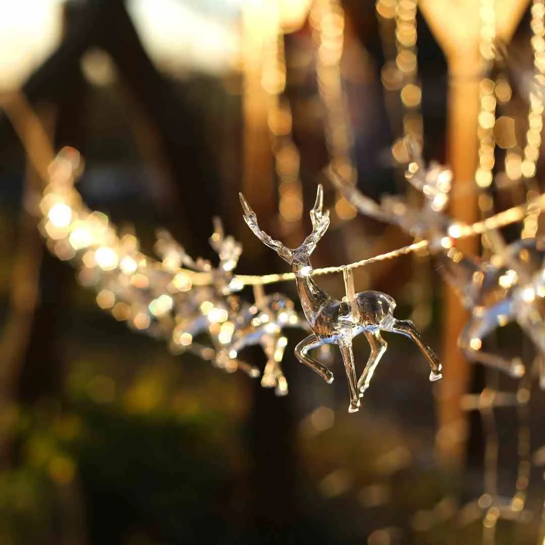 ledlig-chreindeers-clear-10pcs