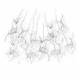 ledlig-chreindeers-clear-10pcs-stan-nowy