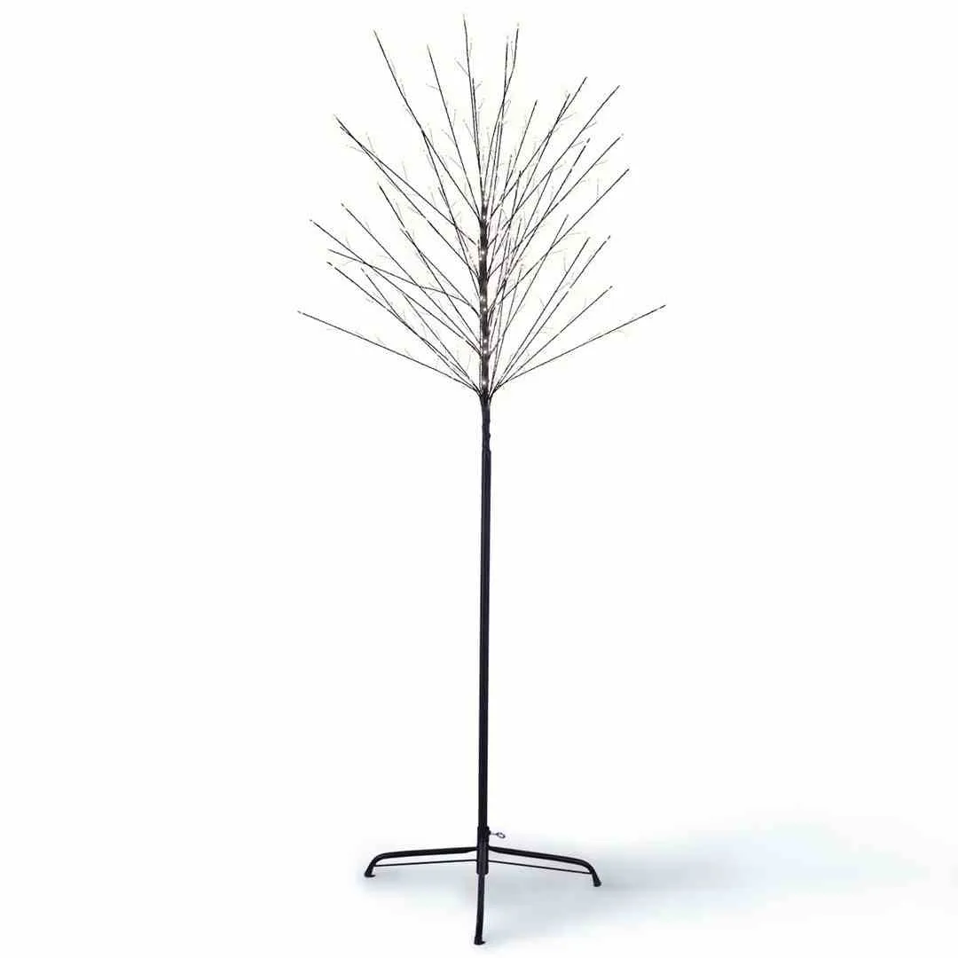 ledtree-lucky-trans-18m320led