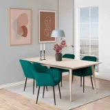 chair-dining-act-goedange-bootlegreen-black-dc-stan-nowy
