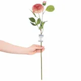 artflower-ah-piwoni-rose-1pc