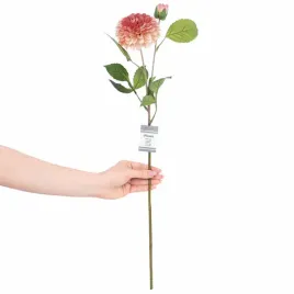 artflower-ah-piwoni-rose-1pc