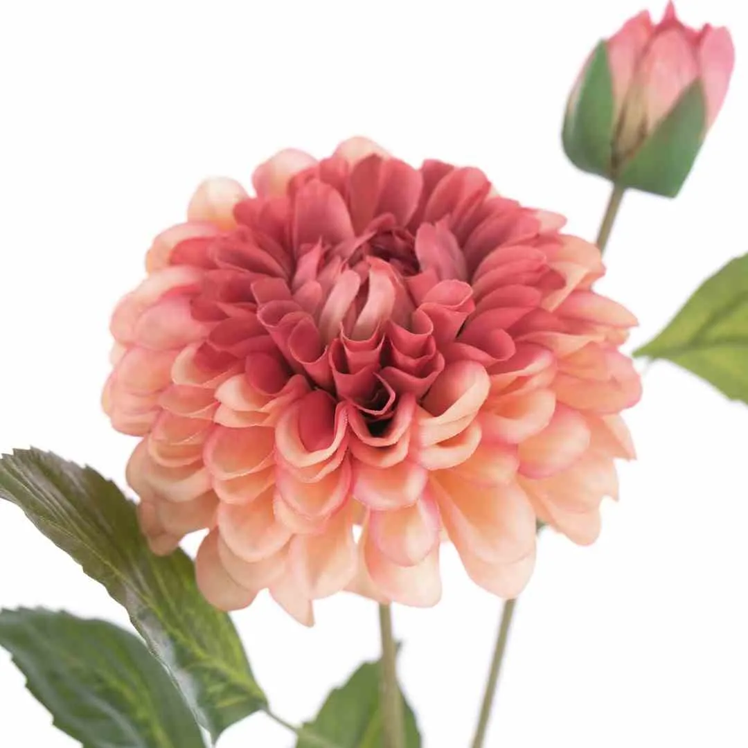 artflower-ah-piwoni-rose-1pc