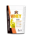 r2g-whey-bialko-serwatkowe-koncentrat-odzywka-wpc-bez-cukru-500g-bananowy