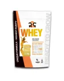 r2g-whey-500g