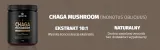 solve-labs-chaga-mushroom-30-g-postac-proszek
