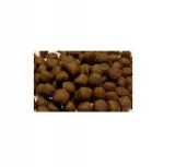 on-coral-pellets-large-100g-typ-przetworzone