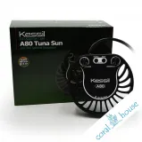 kessil-a80-tuna-sun