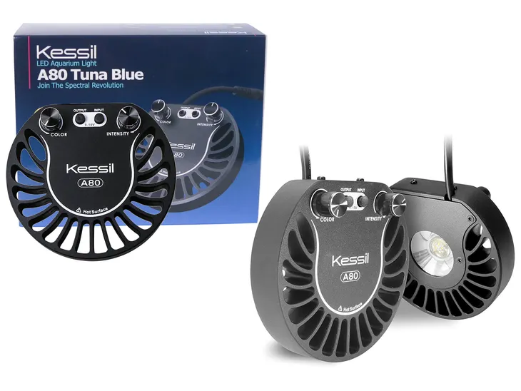 kessil-a80-tuna-sun-stan-nowy