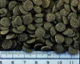 hikari-sinking-wafers-110g-typ-przetworzone