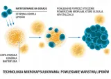 lab-one-n1-probiotic-30-kapsulek-przeznaczenie-uniwersalne