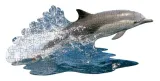 puzzle-konturowe-delfin-100-elementow-madd-capp-material-inny