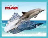 puzzle-konturowe-delfin-100-elementow-madd-capp-wiek-dziecka-5-lat
