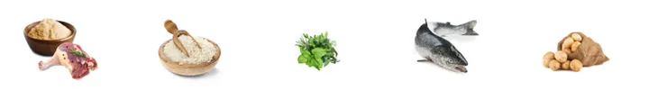 josera-dog-mini-junior-900-g-karma-dla-szczeniat-i-mlodych-psow-ras-malyc-rodzaj-opakowania-inny-rodzaj
