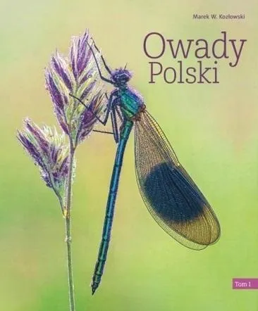 owady-polski-t-1
