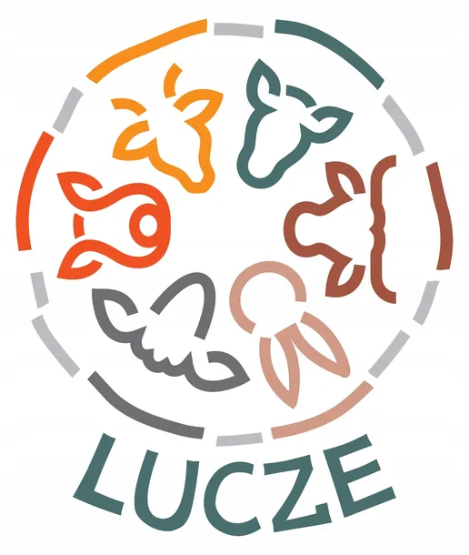 lucze-nos-wolowy-przeznaczenie-przysmaki-naturalne