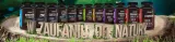 essence-d3-2000iu-180tabl-marka-essence-nutrition