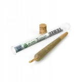 dr-joint-pre-rolled-premium-silver-haze-077g