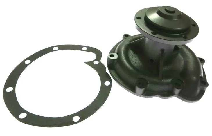 pompa-wody-case-316gc1211a