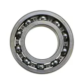 lozysko-6005-flt